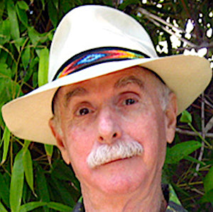 Tools For Thought With Howard Rheingold