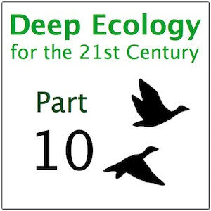 Deep Ecology Part 10