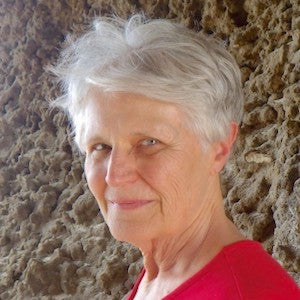 Responding to the Planetary Predicament with Sacred Activism with Carolyn Baker, Ph.D