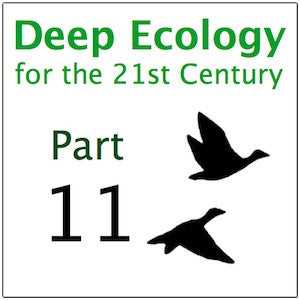Deep Ecology Part 11