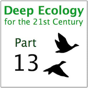 Deep Ecology Part 13