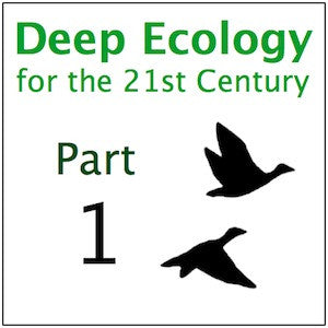 Deep Ecology Part 1
