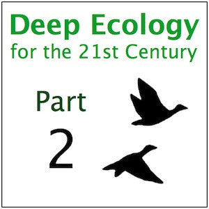 Deep Ecology Part 2