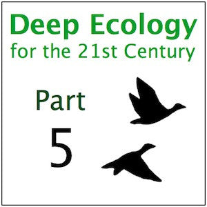 Deep Ecology Part 5
