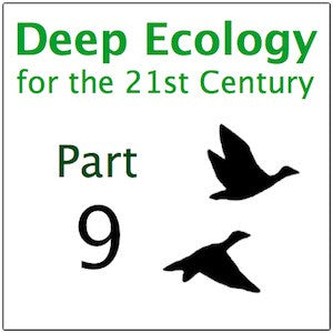 Deep Ecology Part 9