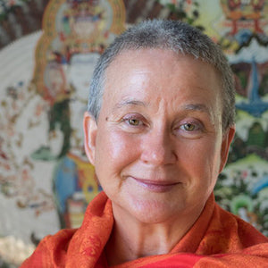 Insight Inquiry with Isa Gucciardi, Ph.D.