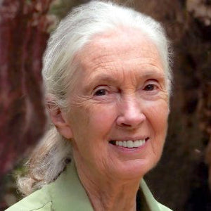 Living The Wild Life with Jane Goodall