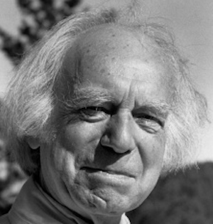 Clear View:  Vedanta for Westerners with Jean Klein, M.D.